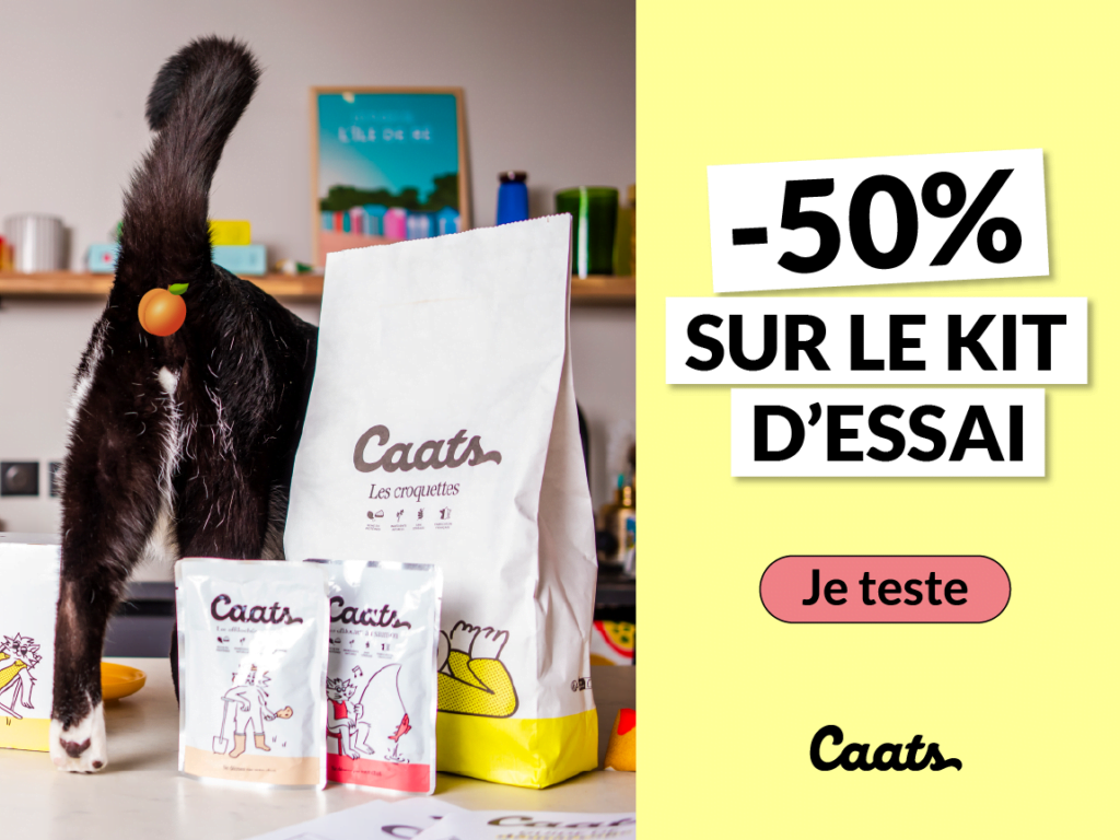 abonnement caats