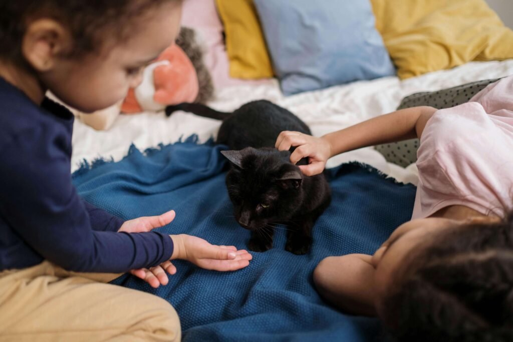 Chat qui dort avec des enfants
